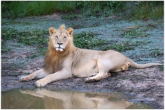 South Africa~ April 2016~ 0385