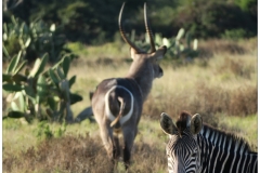 South Africa~ April 2016~ 0088