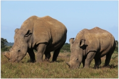South Africa~ April 2016~ 0351