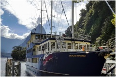 NZ ~ 2018 ~ 025132A