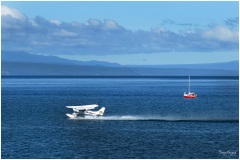 NZ ~ 2018~4349A
