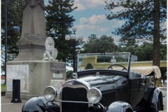 NZ ~ 2018~4462A
