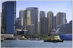 NZ~ Feb& March 2018~ G3X~1264